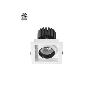 Shen Zhen Dayton Pencahayaan Komersial Dimmable Bulat Membentuk Sudut Sorot Sempit LED Downlight