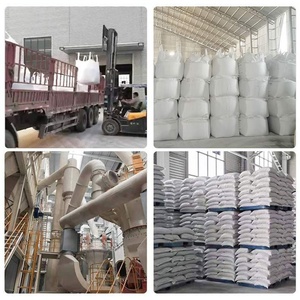 Méta-Calcaire à Haute Réactivité - Adjuvant Minéral pour Béton et Mortier - Product Image 6