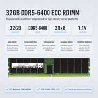 Mémoire serveur HMCG88AHBRA 32 Go DDR5-6400 ECC PC5-51200R 288 broches 1,10 V RDIMM 2Rx8 Bond Alignment Dome