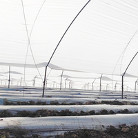 Estructura Práctica de Túnel de Polietileno con Tubos Galvanizados para Cultivo de Arándanos y Frambuesas, Protección contra la Lluvia para Cultivos Agrícolas