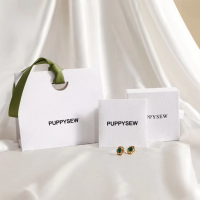 Boîte à tiroirs à bijoux coulissants avec logo personnalisé boîte en carton ensemble avec sac en papier pour bijoux bague boucle d'oreille collier bijoux
