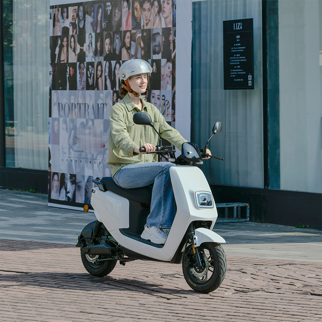 EEC L1e Euro 5th Aluminum Alloy Frame Hydraulic Disc Brake Waterproof 1500W Motor 45-55km/h Two-wheel Electric Scooter