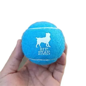 批发运动球定制沙滩运动沙滩网球宠物球与OEM服务