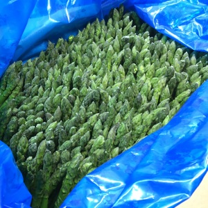 Espigas de Espárragos Verdes <span class=keywords><strong>Congeladas</strong></span> Premium, Certificadas HACCP, Sin Aditivos, para Restaurantes y Cocina - Product Image 4