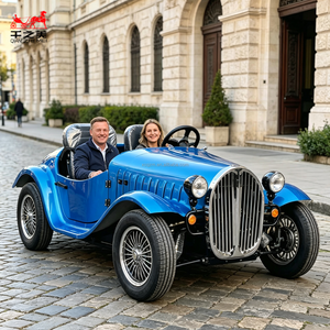Vendita Diretta dalla Fabbrica: Auto Elettrica Classica a 2 Posti e 4 Ruote, Stile Vintage Retrò, Golf Cart Personalizzabile nel Colore, Auto Elettrica Vintage - Product Image 1