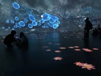 Système de Projection d'hologramme 3d, accessoire interactif pour projecteur de sol