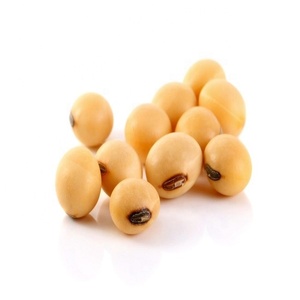 NON-GMO de habas de soja para la venta - Product Image 1