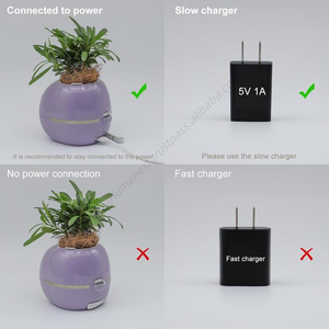 Maceta Inteligente con Sensor IA, Interacción Facial, Aplicación Digital, Auto-Riego, Pequeña, Venta al Por Mayor - Product Image 3