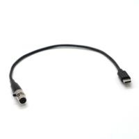 Werkseitig OEM USB Typ C Stecker mit Licht zu XLR 4Pin Mini Buchse/Stecker DMX Audio Kabel
