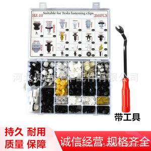 Kit de 300 Clips de Sujeción Tesla Hz10 con Herramienta para Reparación de Paneles de Puerta y Parachoques de Automóviles - Product Image 1