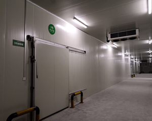 Sistema de unidad de refrigeración Unidad de compresor Enfriamiento en frío Congelador de cámara fría para pescado Carne Pollo - Product Image 4