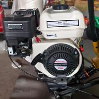 Nuevo Go-Kart Profesional para Adultos, a Gasolina, con Llantas de 8 Pulgadas, Motor de 212cc y 4 Tiempos, Todoterreno