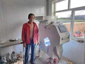 Granos de café Arábica de nuevo diseñador, granos de café y granos de Roberta, máquina clasificadora de color en café - Product Image 2