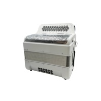 Accordéon professionnel OEM 34 boutons, 12 basses, 3 registres, corps blanc brillant, grille argentée, boutons argentés JB3412C