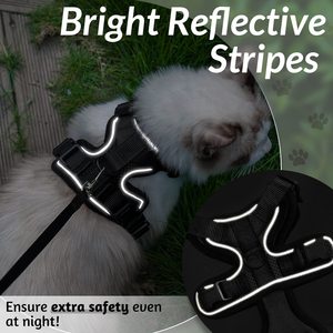 Set Pettorina e Guinzaglio per Gatti, Traspirante, Anti-Fuga, Regolabile, con Striscia Riflettente, Pettorina di Sicurezza per Gatti - Product Image 6