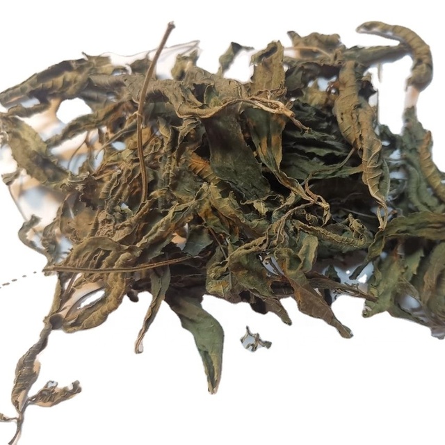 KAIYANGE Natural Lemon Verbena Leaf Wholesale Lemon Verbena Tea Dry Ma Bian Cao Wholesale Dried Pure Leaf Lemon Verbena Lea