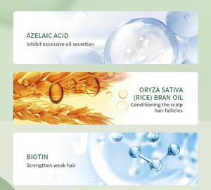 Champú ODM con Romero y Menta para Bloquear el DHT, Bloqueador Avanzado de DHT con Saw Palmetto y Biotina para Cabello Fino y Crecimiento Capilar - Product Image 4