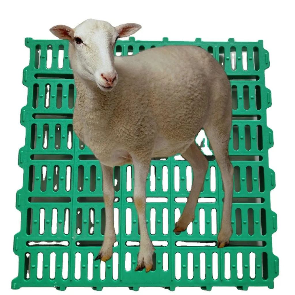 Cabra cabra fazenda galpão piso de ripas de plástico venda quente plástico chão de ripas para cabra fazenda galpão