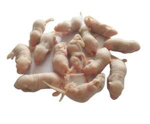 Alimentador congelado de 12-20g para ratas peludas para mascotas, serpientes, lagartos, ranas, tortugas, cocodrilos, zorros, halcones, arañas, gatos, etc. - Product Image 2
