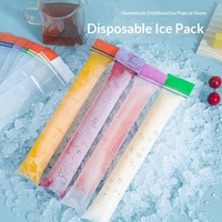 Sachets jetables en PE refermables avec fermeture éclair pour la fabrication maison de gelées, laits, glaces pilées et bâtonnets glacés, étanches et à double étanchéité