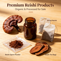 Matière première de champignons Ganoderma Lucidum Reishi pour tisanes, boissons fonctionnelles, pâtisseries, snacks, savons et masques au goût naturel