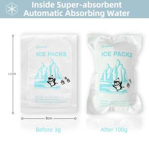 一次性软质运输用小型迷你食品级水干凝胶冰袋用于食品运输 - Product Image 6
