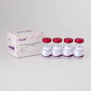 Maladie infectieuse bursale (MII) AGP Sérum positif-pour test d'immunodiffusion sur gel d'agar, titre élevé d'anticorps, norme OIE - Product Image 2