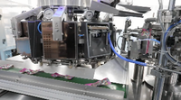 Machine d'emballage sous vide automatique ECHO
