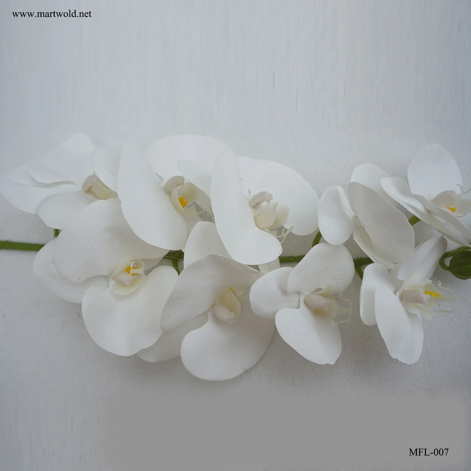 3d Blauwe Vlinder Orchidee Kunstmatige Plastic Witte Bloem Bulk Muur Kunstmatige Bloem Hoge Kwaliteit Buitenplant (MFL-007)