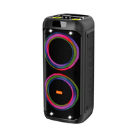 Haut-parleur d'extérieur sans fil Bluetooth grand format avec microphone, portable, rechargeable, RGB, double micros, pour voiture, fêtes en extérieur, camping