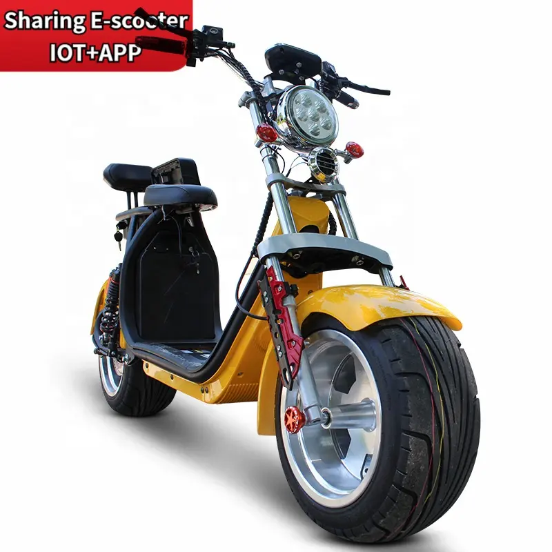 2023 yeni elektrikli scooter için 1500W/2000W alüminyum alaşım yeni tasarım E-bisiklet 10 inç halei dayanıklı büyük tekerlek Citycoco