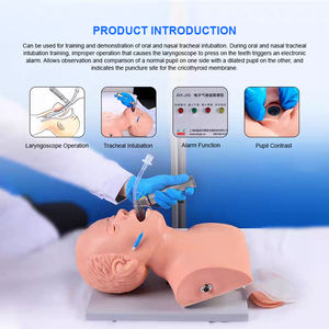 Modelo Anatómico de PVC ADA BIX-J5S, Dispositivo Electrónico de Alarma de Compresión Dental para Intubación de Vías Respiratorias, Ayuda para la Formación de Enfermeras, Ciencias Médicas - Product Image 3