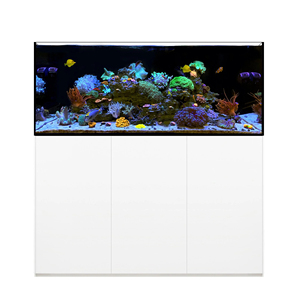 5ft <span class=keywords><strong>180</strong></span> Gallon 15mm Glazen Grote Mariene <span class=keywords><strong>Aquarium</strong></span> Rifbak met Kast en Acryl Sump - Product Image 6