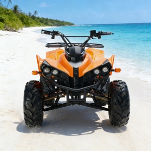 Nuevo Go Kart Eléctrico 2025, Gran Oferta, 48V 5000W, Resistente, para Derrapes, para Adultos, Todoterreno, para Paseos en Lugares Turísticos, Alquiler - Product Image 3