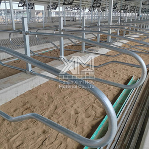 Divisor de Establos para Vacas, de Acero Galvanizado en Caliente Anticorrosión, Fácil Instalación, para Ganado Lechero - Product Image 6