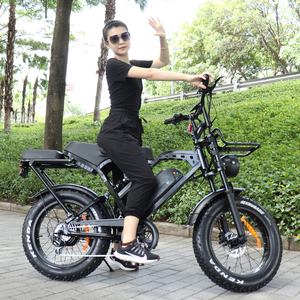 X80 Pro 250w 25 KM/H VOMO E-BIKE Bicicleta Electrica Plegable Cargo Bike Cadre Sepeda Listrik X80PRO Ebike - Product Image 4
