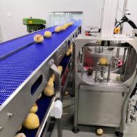 Ligne de traitement multifonctionnelle en acier inoxydable 304 pour l'extraction d'huile de coco verte, le décapage, la pression et la filtration, et la production d'eau de coco