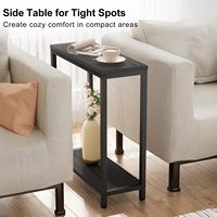 Table d'appoint étroite et compacte pour salon, table d'appoint à 2 niveaux pour petits espaces, table basse fine pour canapé, chambre à coucher, cadre en acier moderne noir