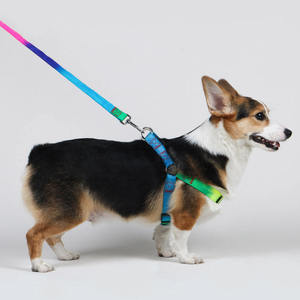 <strong>Rainbow</strong> Multi-Color Printed Nylon Pet <strong>Harness</strong> Leash Set Fashionable No-Pull Step-In Design Adjustable for Personalized - Product Image 1