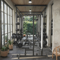 Équipement de fitness métallique haute résistance, pliable et multi-combinaisons : Rack à squats, Supports de barres de traction, Machine à barres de traction haute (Lat Pull-Down)