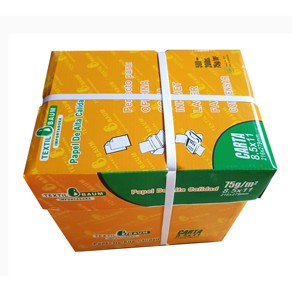 Carta da Copia Formato Lettera 8.5 X 11 <span class=keywords><strong>Pollici</strong></span>, 100% Polpa di Legno Vergine, Qualità Grado A, Peso 75g, 500 Fogli/Risma - Product Image 2