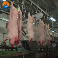 Ligne d'abattage de porcs ZBHT, équipement d'abattage de porcs vivants, prix d'usine, machinerie d'abattoir pour abattoir de petite taille