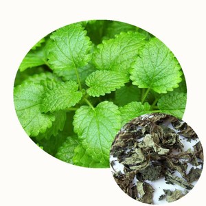 Ning Meng Xiang Feng Ye Nouvelle Récolte d'Herbes Épices <span class=keywords><strong>Feuilles</strong></span> de Mélisse Séchées - Product Image 2