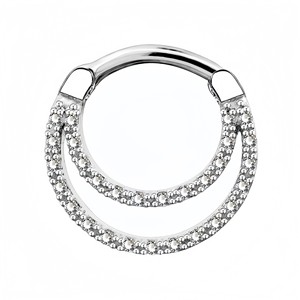 Anneau de nez double couche en zircon, en acier inoxydable argenté et doré, serti en canal, bijou de piercing géométrique rond, cadeau - Product Image 5