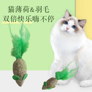 Jouet pour chat en forme de souris verte avec plume et herbe à chat, jouets à mâcher pour chats, fournitures pour animaux de compagnie - Product Image 4
