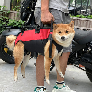 Adjustable <strong>Dog</strong> <strong>Lifting</strong> Seat Belt Breathable Cloth Pet <strong>Support</strong> Rehabilitation Sling Padding for <strong>Dog</strong> Walking - Product Image 4