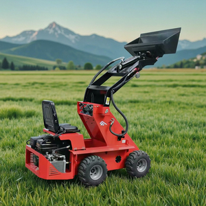 รถตักขนาดเล็กเครื่องยนต์เบนซินจากจีนพร้อมรถแบคโฮ DCJ690D รถตัก - Product Image 2