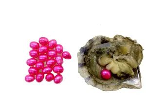 一颗牡蛎/愿望珍珠派对礼物真空包装6- 8mm松散珍珠中的一颗珍珠