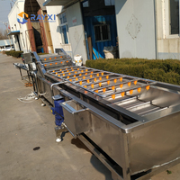 Obst-Spinner und -Waschmaschine aus Lebensmittelqualität Edelstahl für Obstverarbeitungslinien