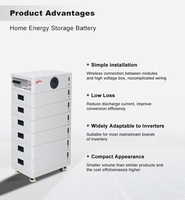 Lagerbestand 48V/51,2V 100Ah 280Ah Stapelbare Netz-Hybrid-Solarenergiesysteme für Zuhause, Lithium-Ionen-Batterie zur Wand- oder Dachmontage, 10kW